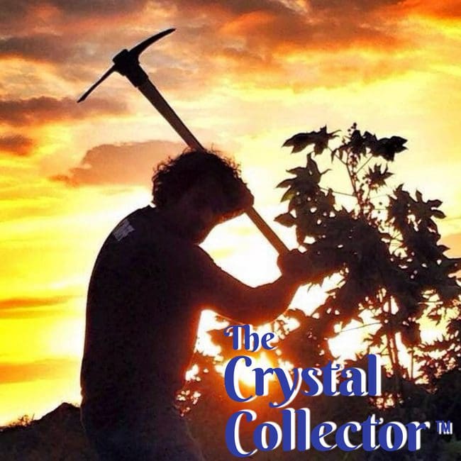 The Crystal Collector LOGO